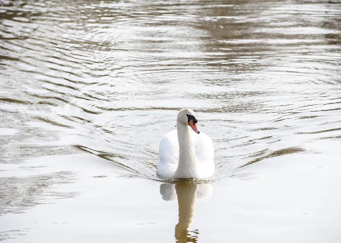 펜션 암스테르담 / 로스드레흐트 린 판덴브루커 필라허 *