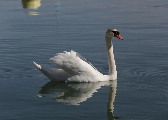 Amsterdam / Rien Den Broeke Village Hébergement de vacances