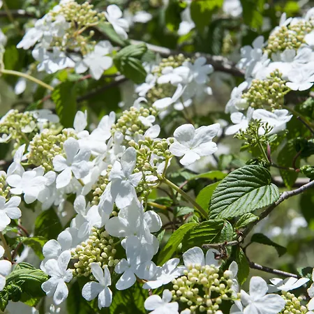 Amsterdam / Rien Den Broeke Village Лусдрехт