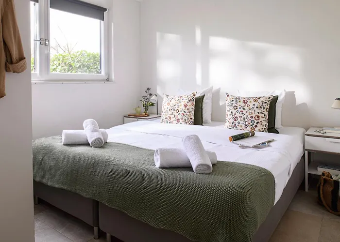 阿姆斯特丹/鲁斯德雷奇璃园范登布如科村度假屋 *