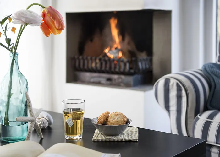 阿姆斯特丹/鲁斯德雷奇璃园范登布如科村度假屋 *