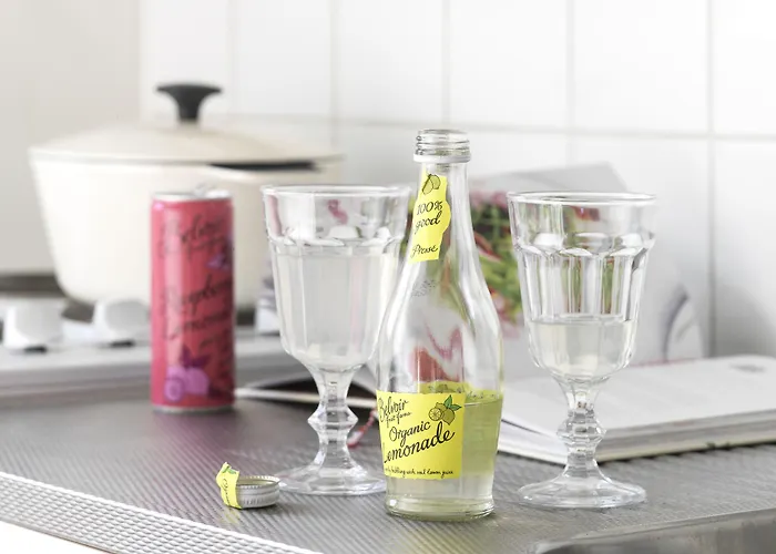 阿姆斯特丹/鲁斯德雷奇璃园范登布如科村度假屋 度假居