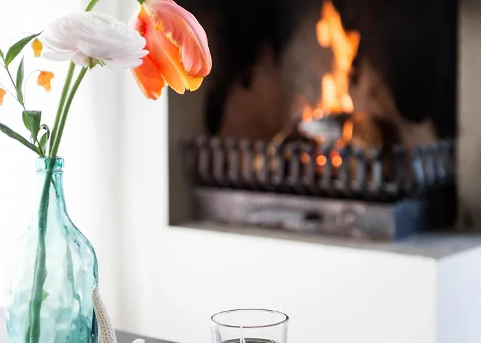 度假居 阿姆斯特丹/鲁斯德雷奇璃园范登布如科村度假屋