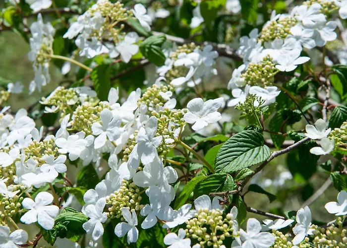 阿姆斯特丹/鲁斯德雷奇璃园范登布如科村度假屋 度假居 鲁斯德雷赫特
